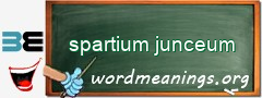 WordMeaning blackboard for spartium junceum